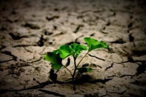 Ristrutturazioni sostenibili: come migliorare comfort e ambiente