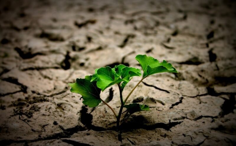 Ristrutturazioni sostenibili: come migliorare comfort e ambiente