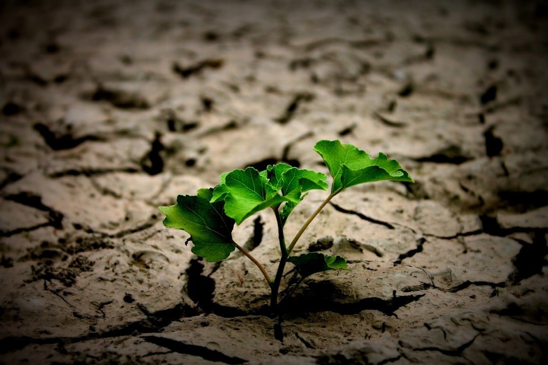 Ristrutturazioni sostenibili: come migliorare comfort e ambiente